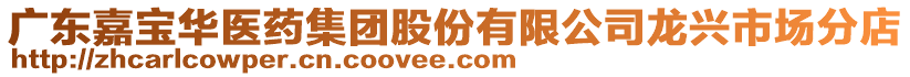 廣東嘉寶華醫(yī)藥集團(tuán)股份有限公司龍興市場(chǎng)分店