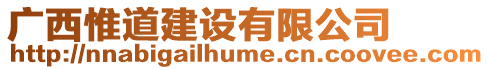 廣西惟道建設(shè)有限公司