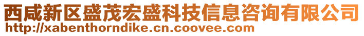 西咸新區(qū)盛茂宏盛科技信息咨詢有限公司