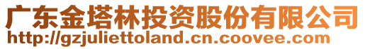 廣東金塔林投資股份有限公司