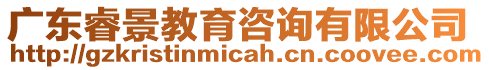 廣東睿景教育咨詢有限公司