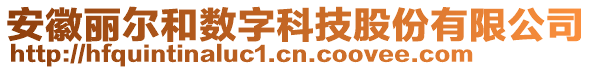 安徽麗爾和數(shù)字科技股份有限公司