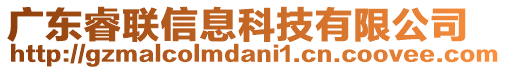 廣東睿聯(lián)信息科技有限公司