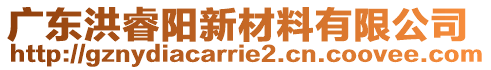 廣東洪睿陽新材料有限公司