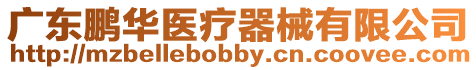 廣東鵬華醫(yī)療器械有限公司