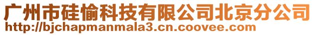 廣州市硅愉科技有限公司北京分公司