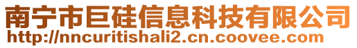 南寧市巨硅信息科技有限公司