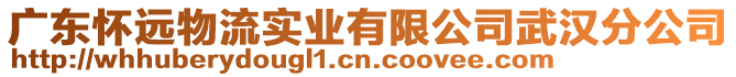 廣東懷遠(yuǎn)物流實(shí)業(yè)有限公司武漢分公司