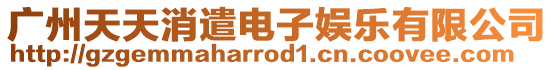 廣州天天消遣電子娛樂有限公司