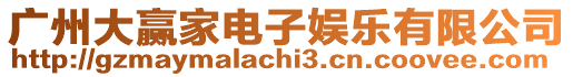 廣州大贏家電子娛樂有限公司