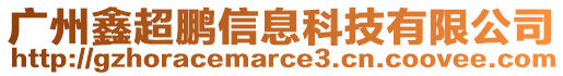 廣州鑫超鵬信息科技有限公司