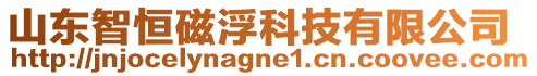 山東智恒磁浮科技有限公司