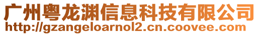 廣州粵龍淵信息科技有限公司