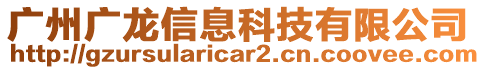 廣州廣龍信息科技有限公司