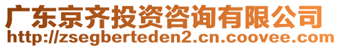 廣東京齊投資咨詢有限公司