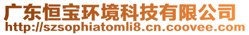 廣東恒寶環(huán)境科技有限公司