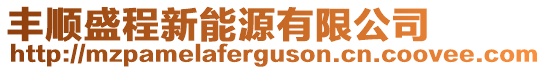 豐順盛程新能源有限公司