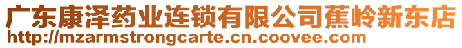 廣東康澤藥業(yè)連鎖有限公司蕉嶺新東店