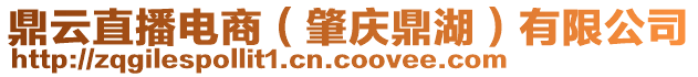 鼎云直播電商(肇慶鼎湖)有限公司
