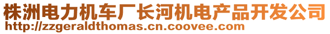 株洲電力機(jī)車廠長河機(jī)電產(chǎn)品開發(fā)公司