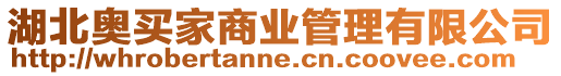 湖北奧買家商業(yè)管理有限公司