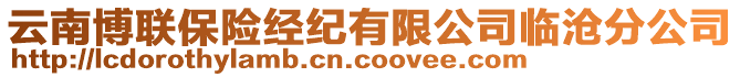 云南博聯保險經紀有限公司臨滄分公司