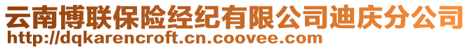 云南博聯保險經紀有限公司迪慶分公司