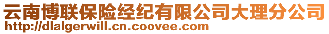 云南博聯(lián)保險(xiǎn)經(jīng)紀(jì)有限公司大理分公司