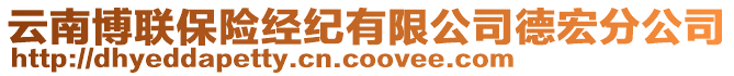 云南博聯(lián)保險經(jīng)紀(jì)有限公司德宏分公司