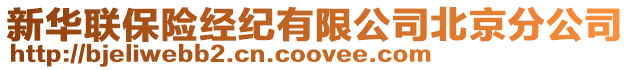 新華聯保險經紀有限公司北京分公司