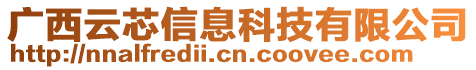 廣西云芯信息科技有限公司