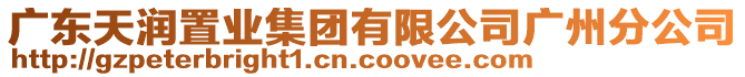 廣東天潤(rùn)置業(yè)集團(tuán)有限公司廣州分公司