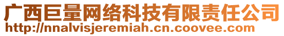 廣西巨量網(wǎng)絡(luò)科技有限責(zé)任公司