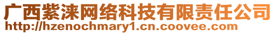 廣西紫淶網絡科技有限責任公司
