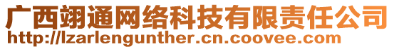 廣西翊通網(wǎng)絡(luò)科技有限責(zé)任公司