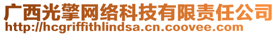 廣西光擎網(wǎng)絡(luò)科技有限責(zé)任公司