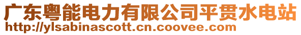 廣東粵能電力有限公司平貫水電站