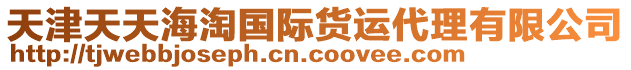 天津天天海淘國際貨運(yùn)代理有限公司