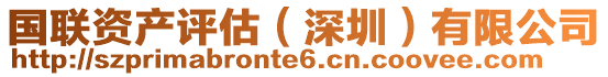 國(guó)聯(lián)資產(chǎn)評(píng)估（深圳）有限公司