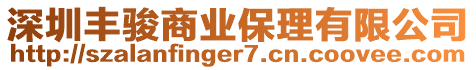 深圳豐駿商業(yè)保理有限公司