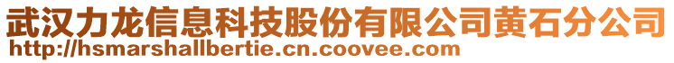 武漢力龍信息科技股份有限公司黃石分公司