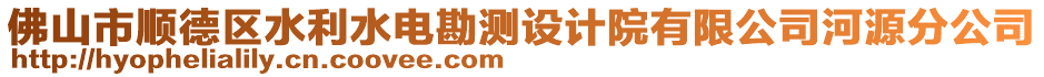 佛山市順德區(qū)水利水電勘測(cè)設(shè)計(jì)院有限公司河源分公司