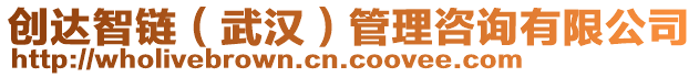 創(chuàng)達(dá)智鏈（武漢）管理咨詢有限公司