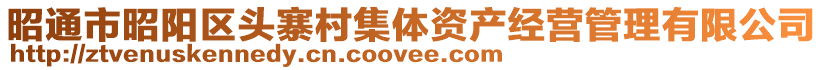 昭通市昭陽區(qū)頭寨村集體資產經營管理有限公司