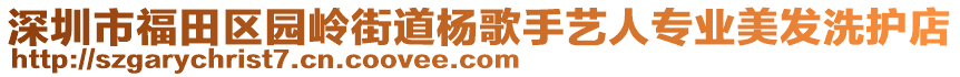 深圳市福田區(qū)園嶺街道楊歌手藝人專業(yè)美發(fā)洗護(hù)店