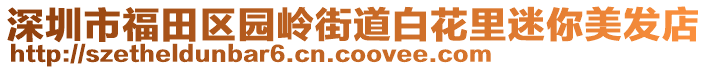 深圳市福田區(qū)園嶺街道白花里迷你美發(fā)店