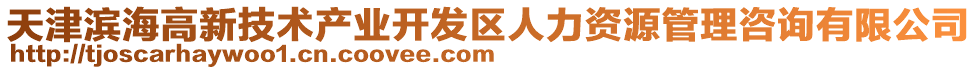 天津?yàn)I海高新技術(shù)產(chǎn)業(yè)開發(fā)區(qū)人力資源管理咨詢有限公司