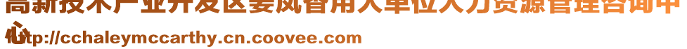 高新技術(shù)產(chǎn)業(yè)開發(fā)區(qū)姜鳳香用人單位人力資源管理咨詢中
心