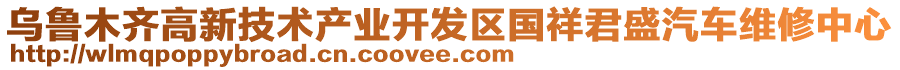 烏魯木齊高新技術(shù)產(chǎn)業(yè)開發(fā)區(qū)國祥君盛汽車維修中心