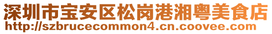 深圳市寶安區(qū)松崗港湘粵美食店